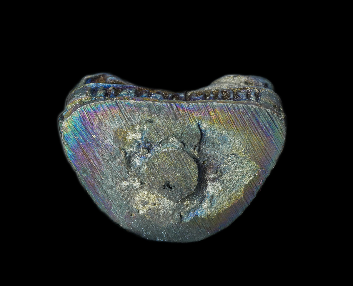 16Sep25 (188)ap.jpg - พระกริ่งรูปหล่อสะท้านไตรภพ หลวงพ่อเกตุ(พระราชวิสุทธิคุณ) วัดเกาะหลัก อ.เมือง จ.ประจวบคีรีขันธ์ รุ่นแซยิด อายุวัฒนมงคล 60 ปี พ.ศ.2536 เนื้อโลหะผสม พระเ [..] | https://kamulet.in.th